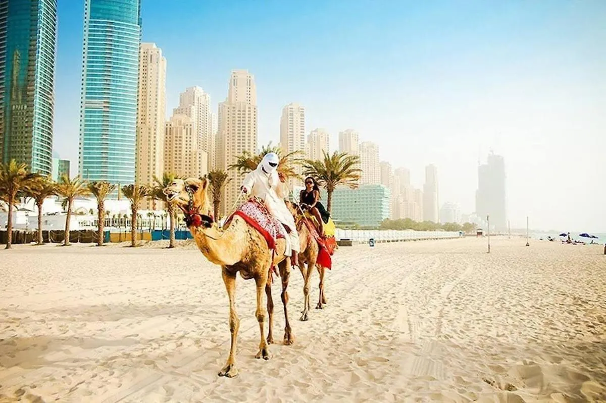 Lovely Studio In Dubai Marina Near Beach Z1009